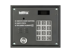 Домофон Rainmann (Laskomex) 3103TP с считывателем iBUTTON Черный