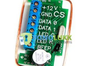 RZ4