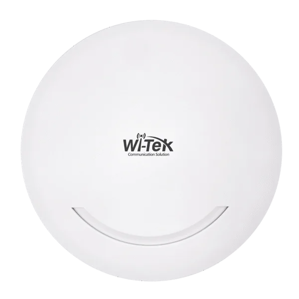 WI-AP216